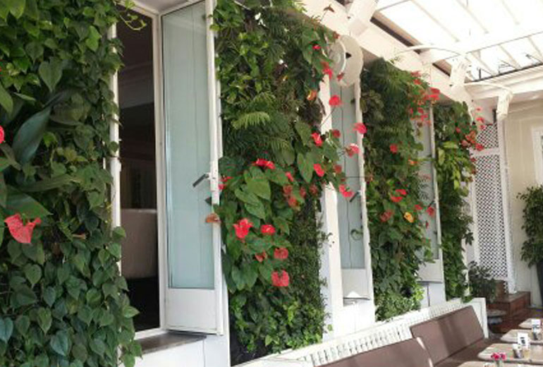 The House Cafe Ortaköy Dikey Bahçe Sistemleri Projesi